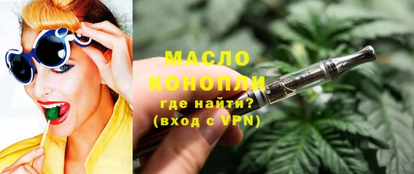 индика Михайловка