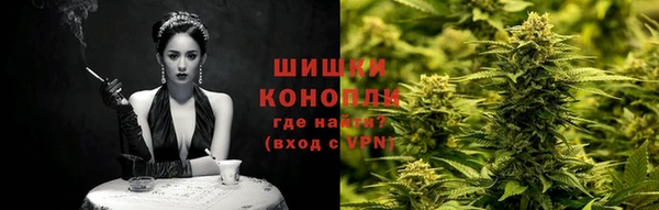 индика Михайловка