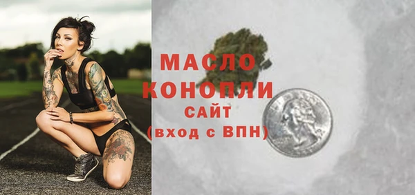 индика Михайловка