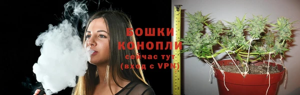 индика Михайловка