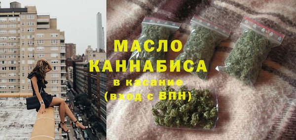 индика Михайловка