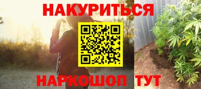 спайс Берёзовский