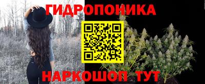 шишки Донской