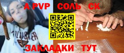 шишки Донской
