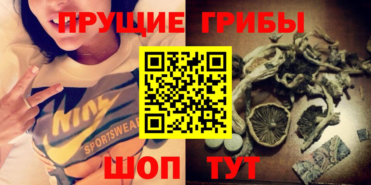 Галлюциногенные грибы Psilocybe Электросталь